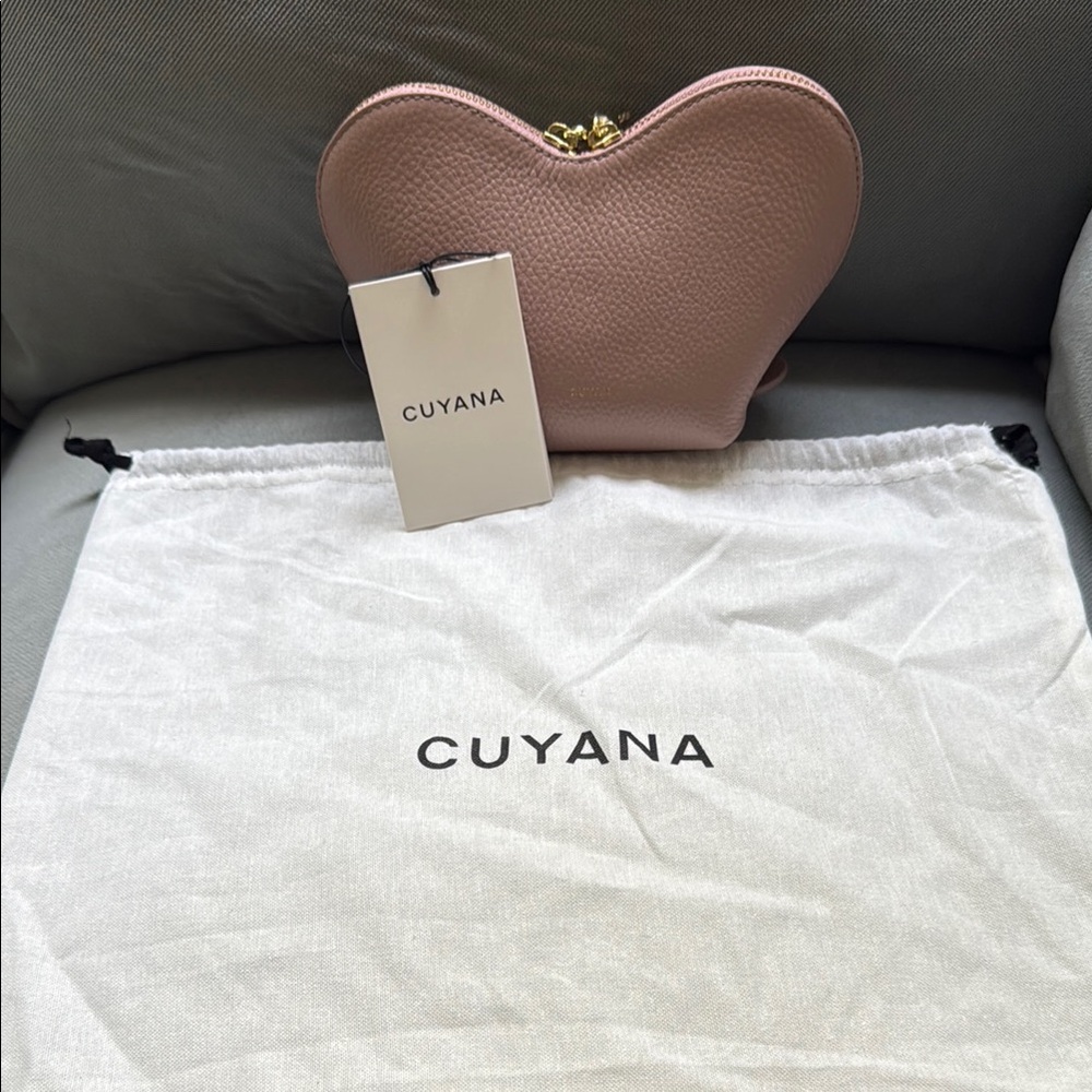 NWT Cuyana Mini Heart Case